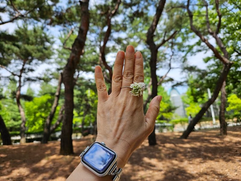 Smart fitness tracker ring worn on a hand